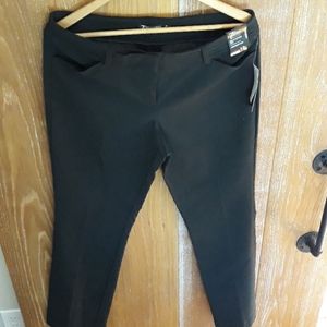 Black dress pants
